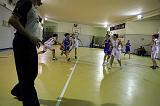 Basket C321079